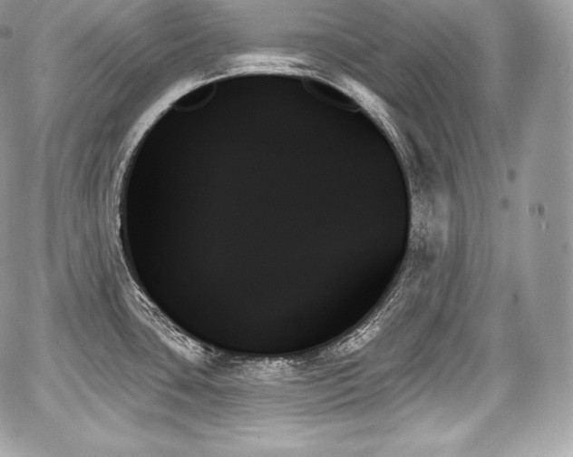 X0000059061435200510101037