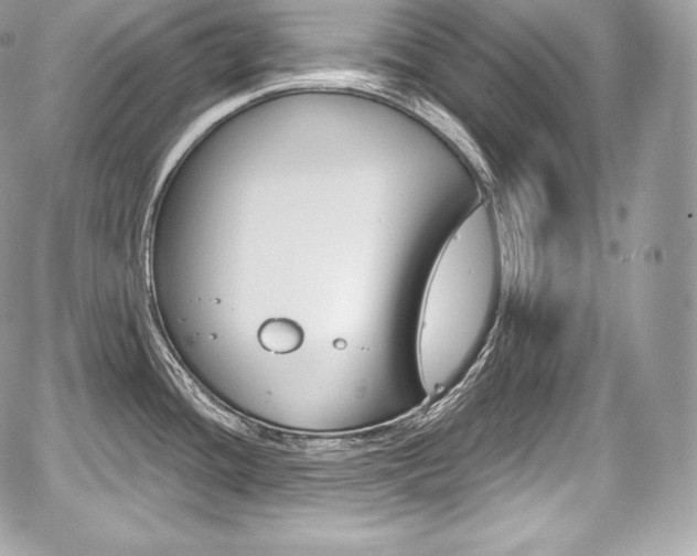 X0000059061436200510101037