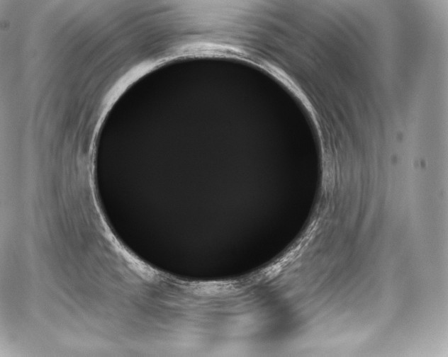 X0000059061437200510101037