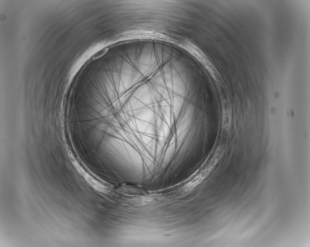 X0000059061438200510101037