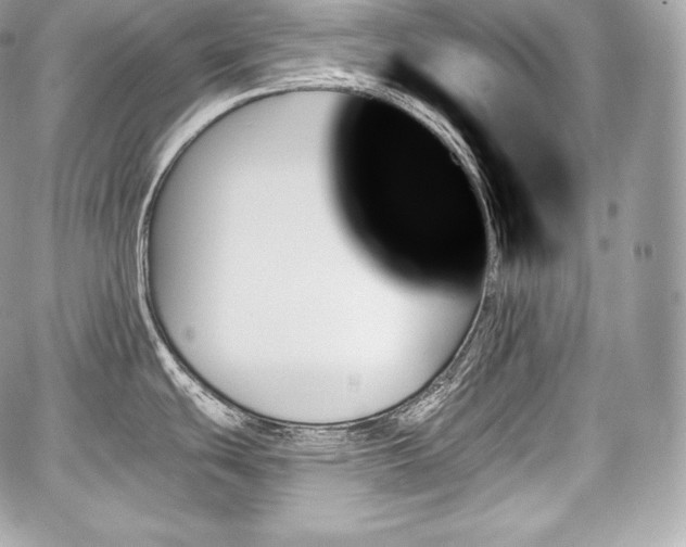 X0000059061439200510101037