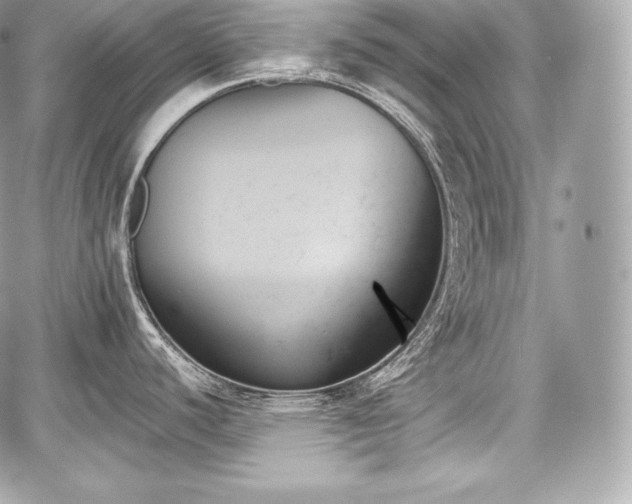 X0000059061440200510101037