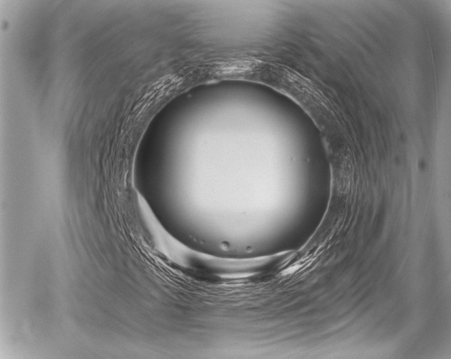 X0000059061441200510101036