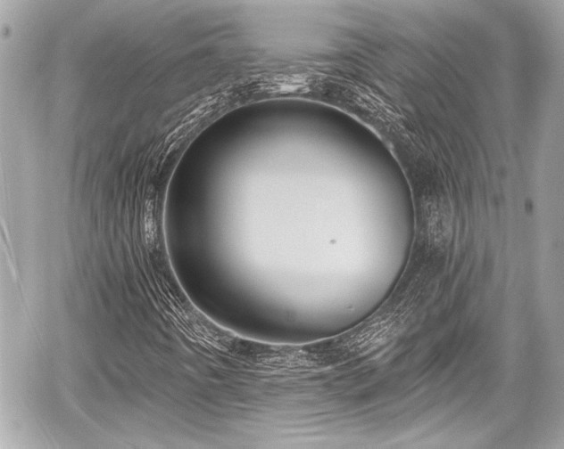 X0000059061442200510101036