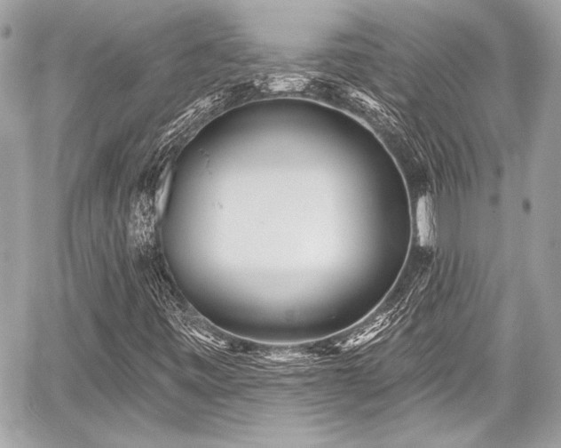 X0000059061443200510101036