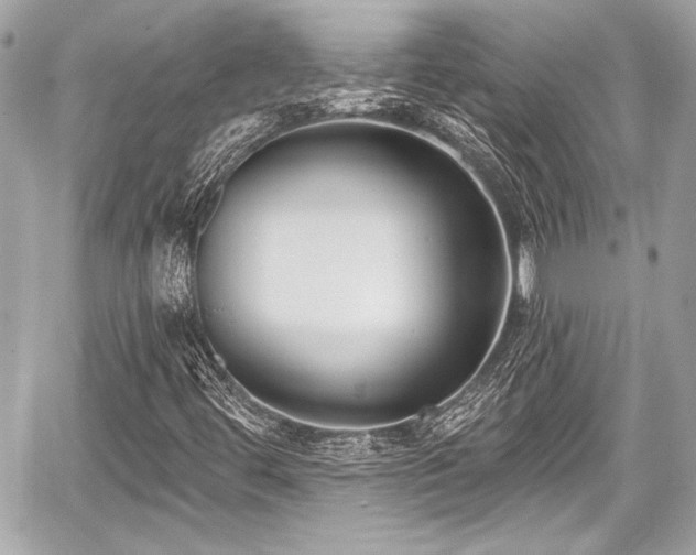 X0000059061444200510101036