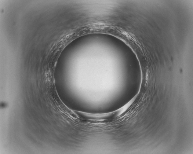 X0000059061445200510101036