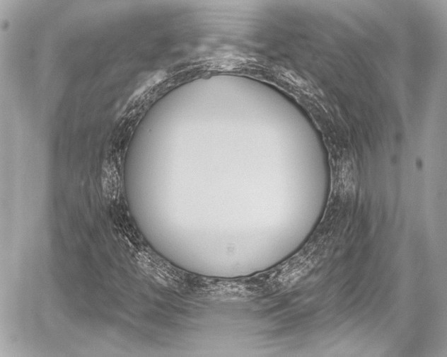 X0000059061446200510101036