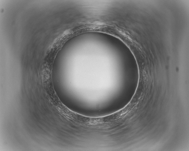 X0000059061447200510101036