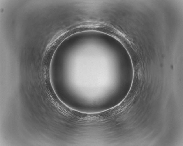 X0000059061448200510101036