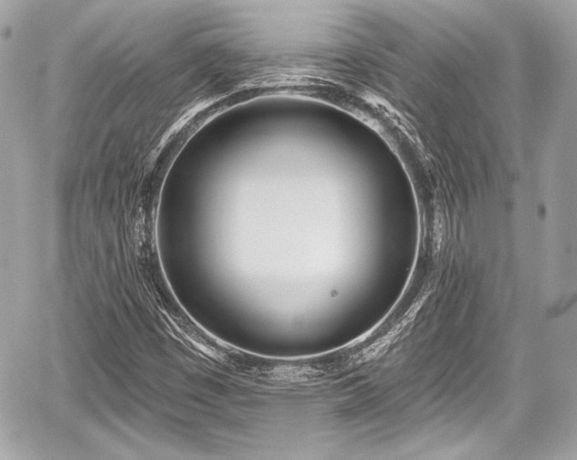 X0000059061449200510101036