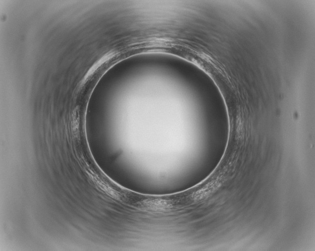 X0000059061450200510101036