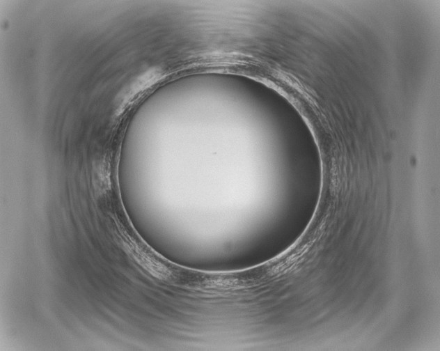 X0000059061451200510101036