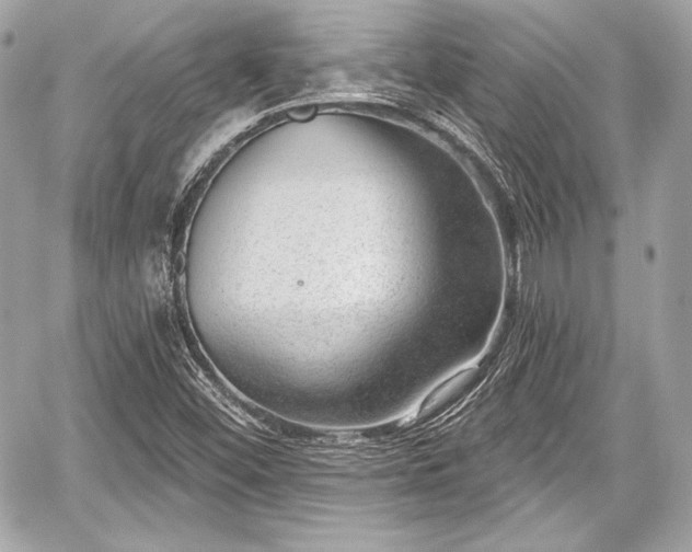 X0000059061452200510101036