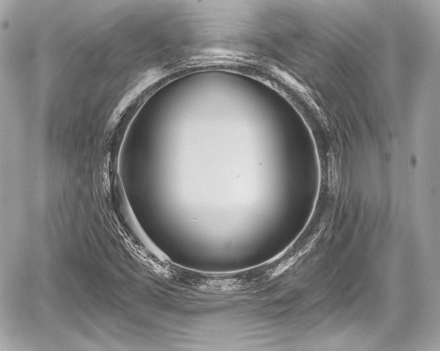 X0000059061453200510101036