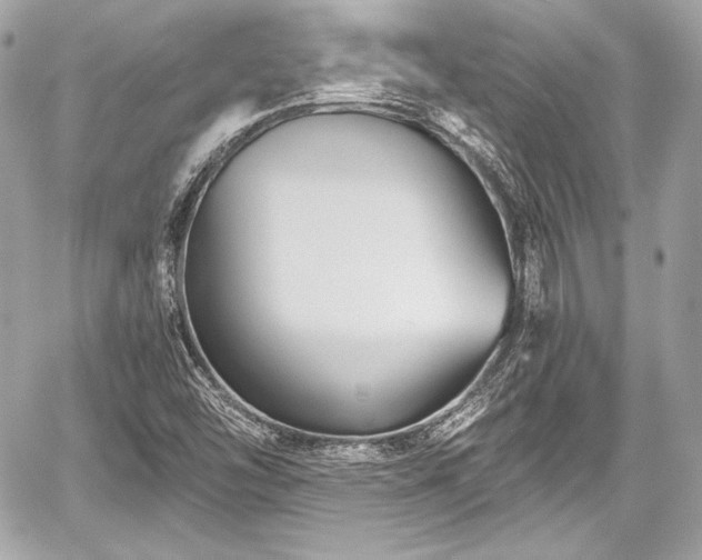 X0000059061454200510101036