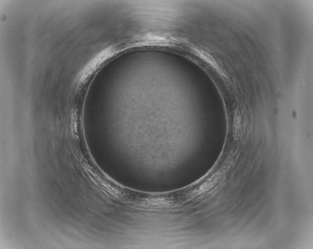 X0000059061455200510101036