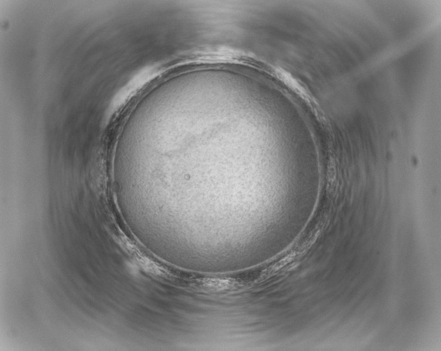 X0000059061456200510101036