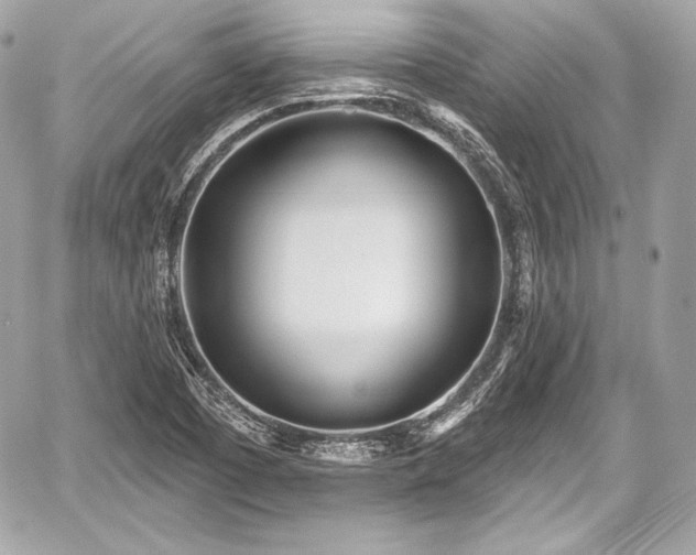 X0000059061457200510101036