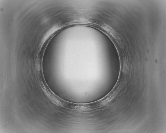 X0000059061458200510101036