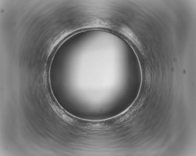 X0000059061460200510101036