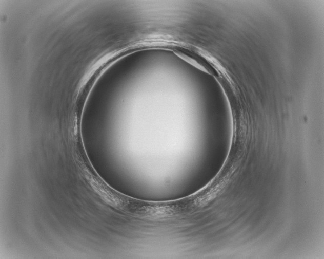 X0000059061461200510101036