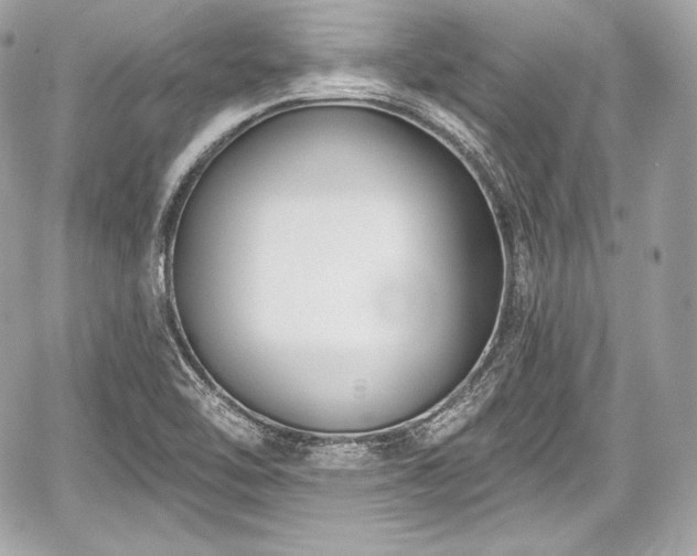 X0000059061462200510101036