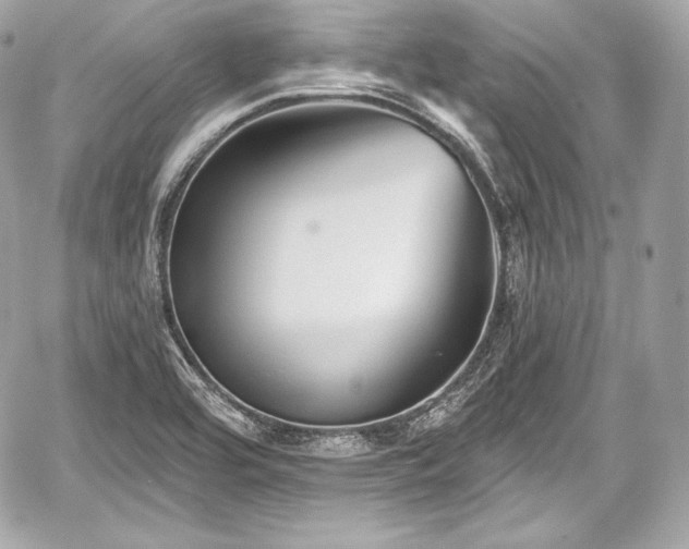 X0000059061464200510101036