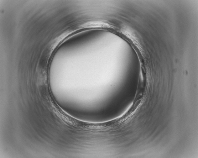 X0000059061465200510101036