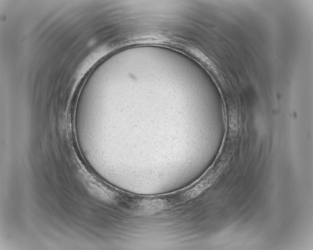 X0000059061466200510101036