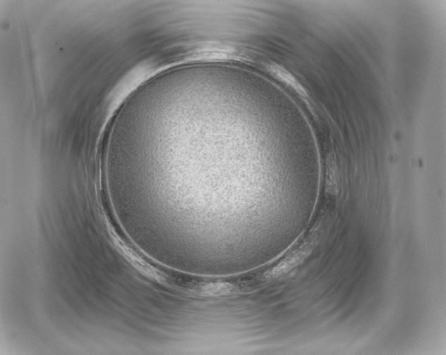 X0000059061467200510101036