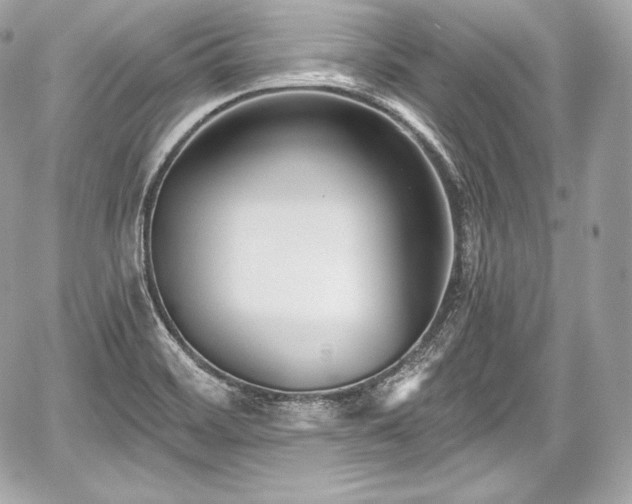 X0000059061468200510101036