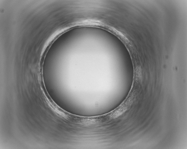 X0000059061470200510101036