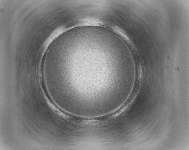 X0000059061471200510101036