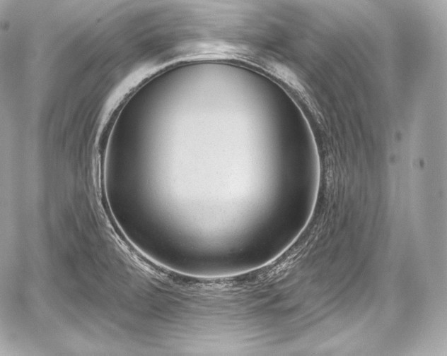 X0000059061472200510101036