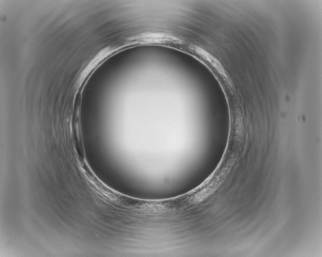 X0000059061473200510101036