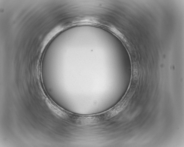 X0000059061474200510101036