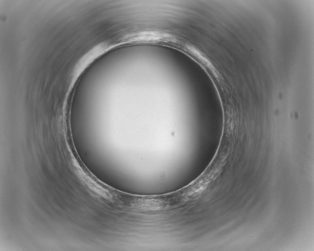 X0000059061475200510101036