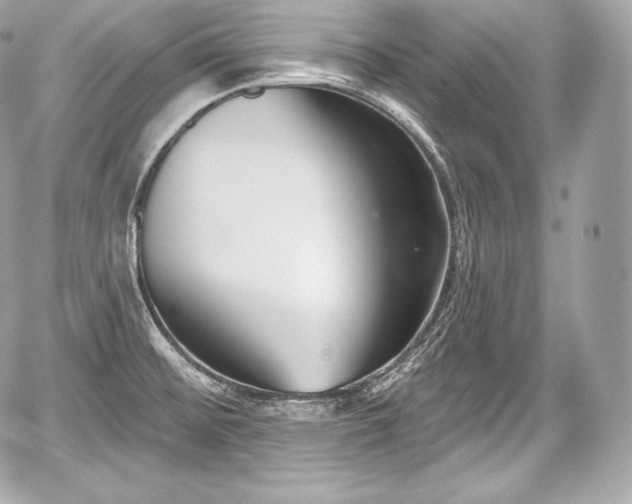 X0000059061476200510101036