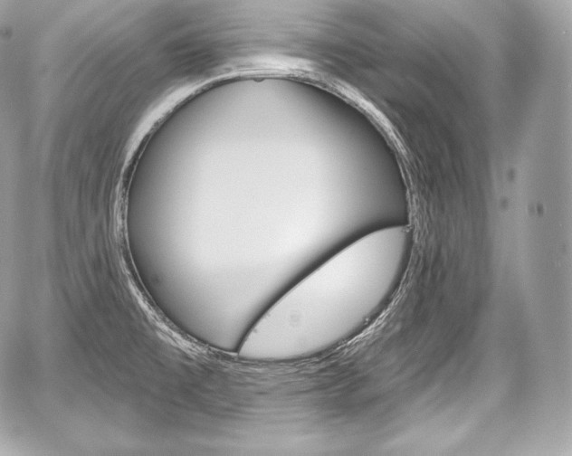 X0000059061477200510101036