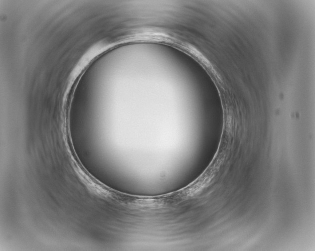 X0000059061478200510101035