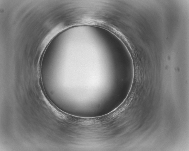 X0000059061479200510101035