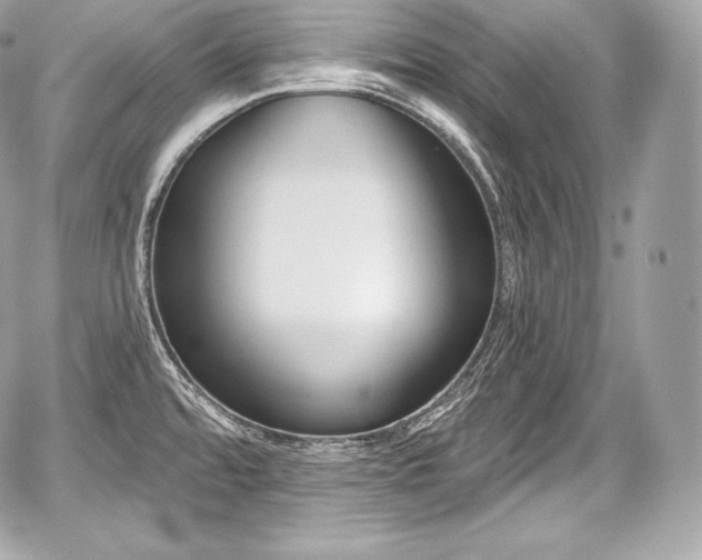 X0000059061480200510101035