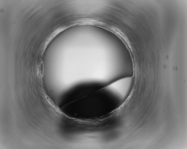 X0000059061481200510101035