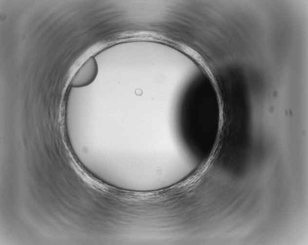 X0000059061482200510101035