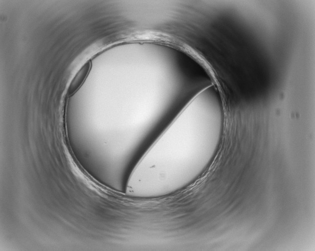 X0000059061483200510101035