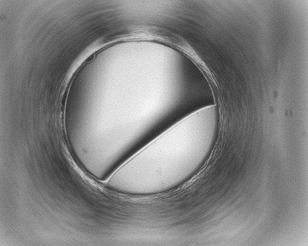 X0000059061484200510101035