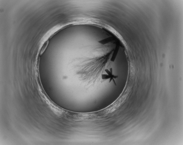 X0000059061485200510101035