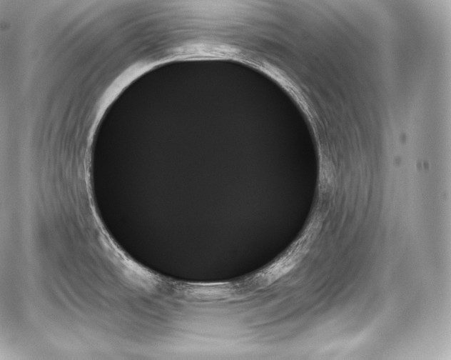 X0000059061486200510101035