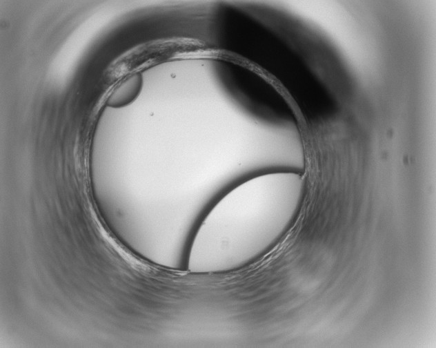 X0000059061487200510101035